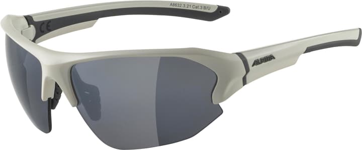 Image of Alpina Lyron HR Sportbrille grau bei Migros SportXX