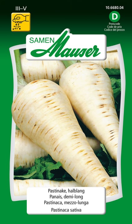 Image of Samen Mauser Pastinake, halblang Gemüsesamen