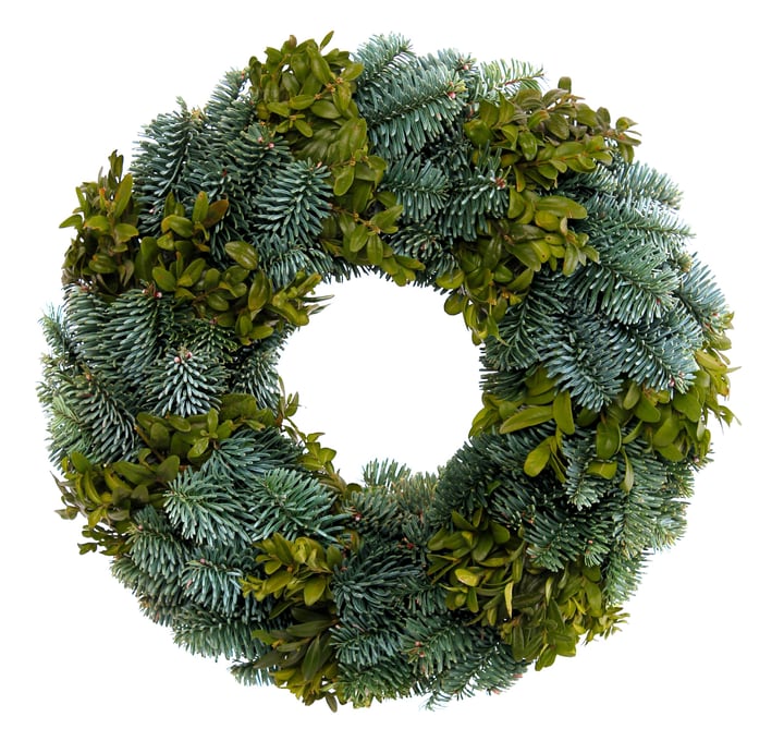 Buxus Tellerkranz 30cm Buxus Tellerkranz 30cm 309205400000 Bild Nr. 1