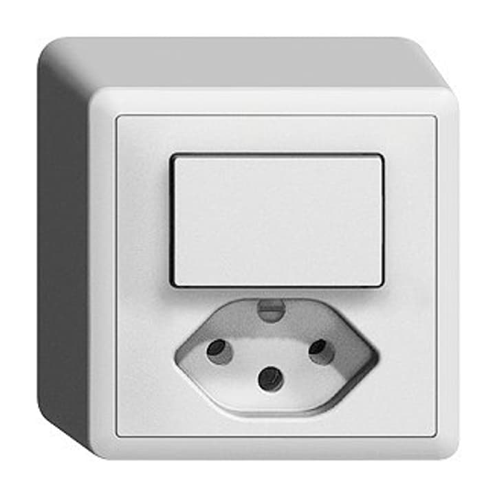 Image of Feller Edizio Due AP 1xT13 Kleinkombination bei Do it + Garden von Migros