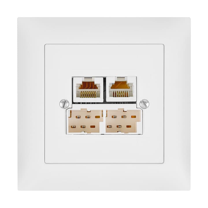 Image of Feller Edizio Due UP RJ45 / T+T83 Steckdose bei Do it + Garden von Migros