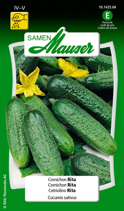 Image of Samen Mauser Cornichon Rita Gemüsesamen bei Do it + Garden von Migros