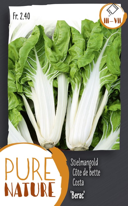 Image of Stielmangold, Krautstiel 'Berac' 5g Gemüsesamen bei Do it + Garden von Migros