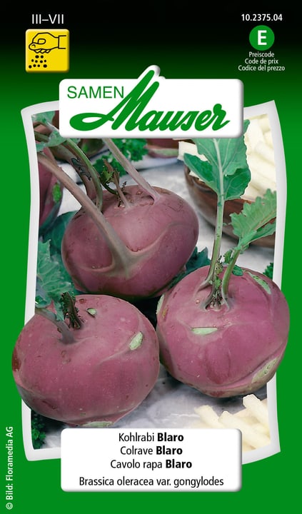 Image of Samen Mauser Kohlrabi Blaro Gemüsesamen bei Do it + Garden von Migros