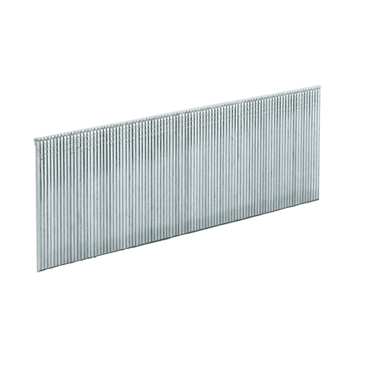 Image of Einhell Nägel 32mm, 3000 Stück Tackernägel bei Do it + Garden von Migros