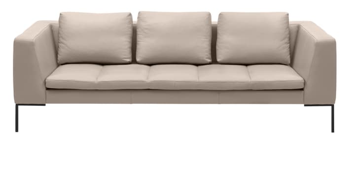 BADER 3er-Sofa BADER 3er-Sofa 405686130381 Grösse B: 238.0 cm x T: 105.0 cm x H: 80.0 cm Farbe Hellgrau Bild Nr. 1