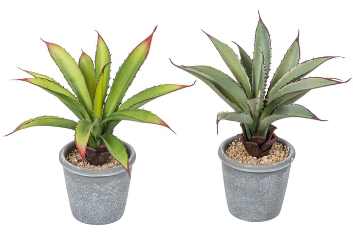 Image of Aloe Kunstpflanze