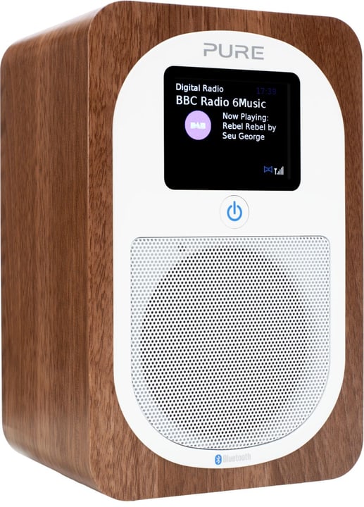 Pure Evoke H3 - noix Radio DAB+ Evoke H3 - noix Radio DAB+ Pure 785300127370 Photo no. 1