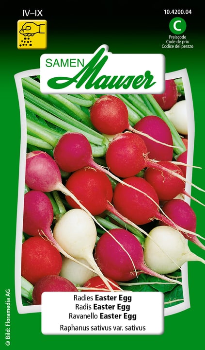 Image of Samen Mauser Radies Easter Egg Gemüsesamen bei Do it + Garden von Migros