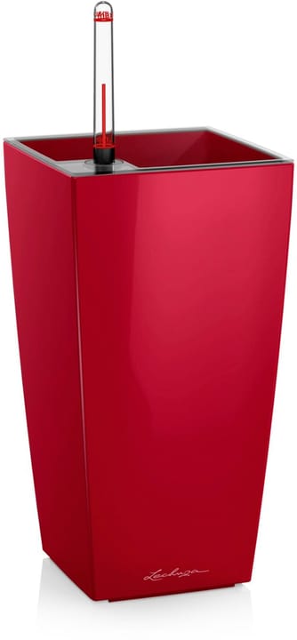 Image of Lechuza Pflanzentopf Maxi cubi Rot Blumentopf