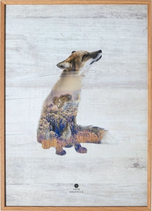 FOX Bild gerahmt FOX Bild gerahmt 431834100000 Bild Nr. 1
