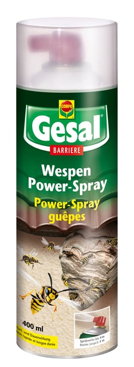 Image of Compo Gesal Wespen Power Spray BARRIERE, 400 ml Insektenbekämpfung bei Do it + Garden von Migros