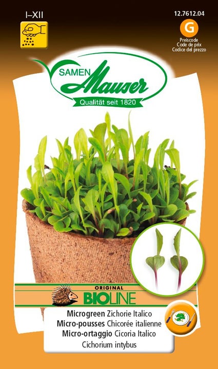Image of Samen Mauser BIO-Microgreen Zichorie Italico Microgreen