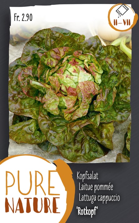 Image of Kopfsalat 'Rotkopf' 1g Gemüsesamen bei Do it + Garden von Migros