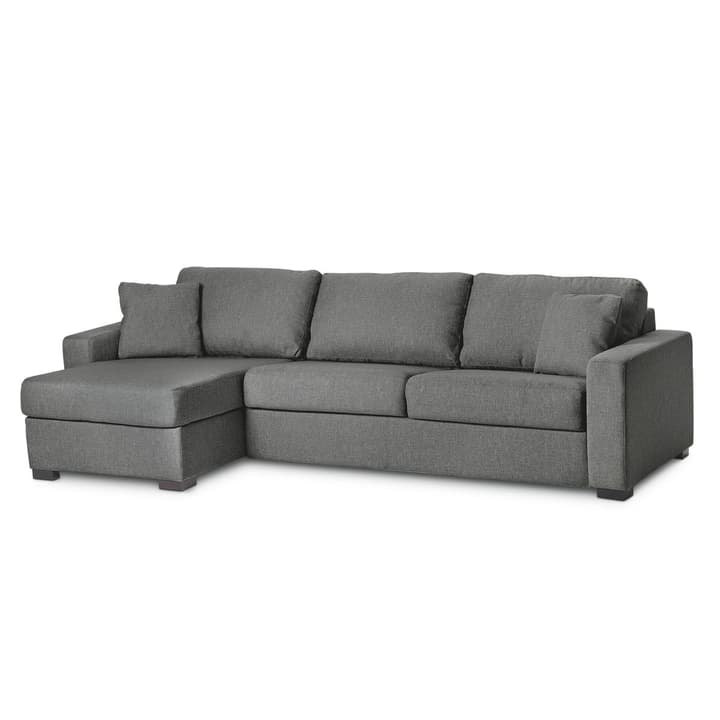 GEORGE Nancy Canapé-lit rec/2pl GEORGE Nancy Canapé-lit rec/2pl 360213500000 Dimensions L: 120.0 cm x P: 195.0 cm Couleur Gris foncé Photo no. 1