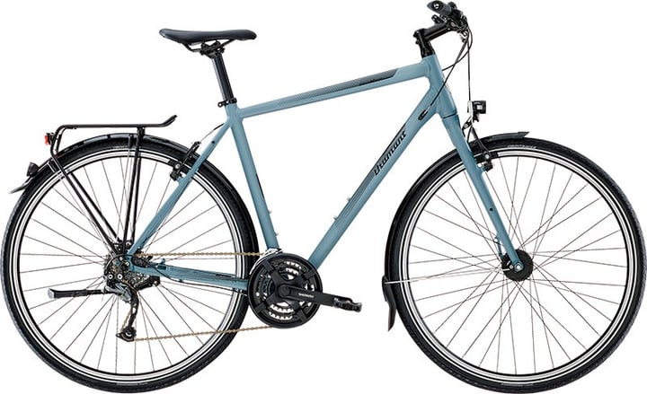 Diamant Elan Trekkingbike kaufen bei sportxx.ch