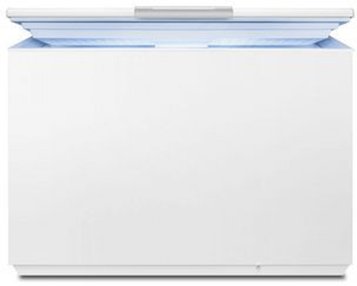 Electrolux GT223 Congélateur GT223 Congélateur Electrolux 785300146670 Photo no. 1