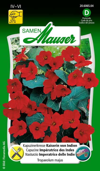 Image of Samen Mauser Kapuzinerkresse Kaiserin von Indien Blumensamen