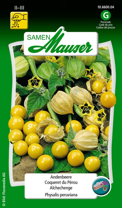 Image of Samen Mauser Andenbeere Blumensamen
