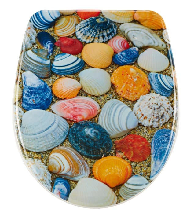 diaqua Siège WC Nice Shell Slow Motion Siège WC Nice Shell Slow Motion diaqua 675192500000 Photo no. 1
