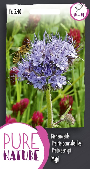 Image of Gründüngung Bienenweide Maja 20g Blumensamen bei Do it + Garden von Migros