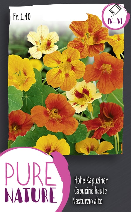 Image of Hohe Kapuziner Mischung rankend 5g Blumensamen bei Do it + Garden von Migros