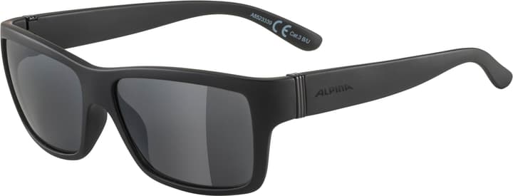 Image of Alpina Kacey Sportbrille titan