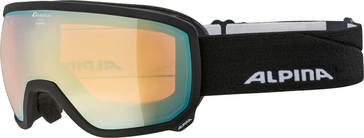 Image of Alpina Scarabeo QLite Skibrille / Snowboardbrille kohle