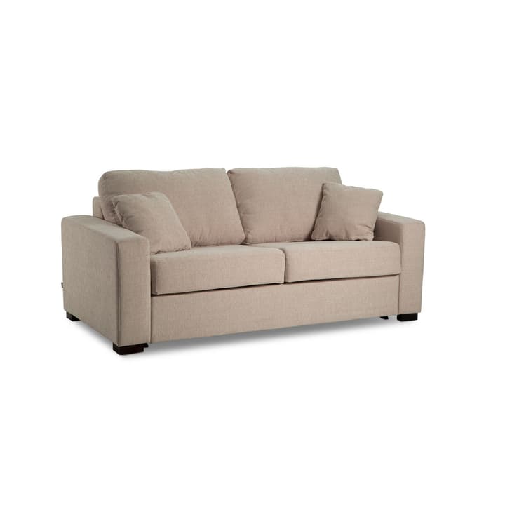 GEORGE Vera 2er Bettsofa GEORGE Vera 2er Bettsofa 360205100000 Grösse B: 120.0 cm x T: 195.0 cm Farbe Hellbraun Bild Nr. 1