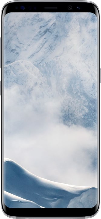 Samsung Galaxy S8 argento Smartphone Galaxy S8 argento Smartphone Samsung 794616700000 N. figura 1