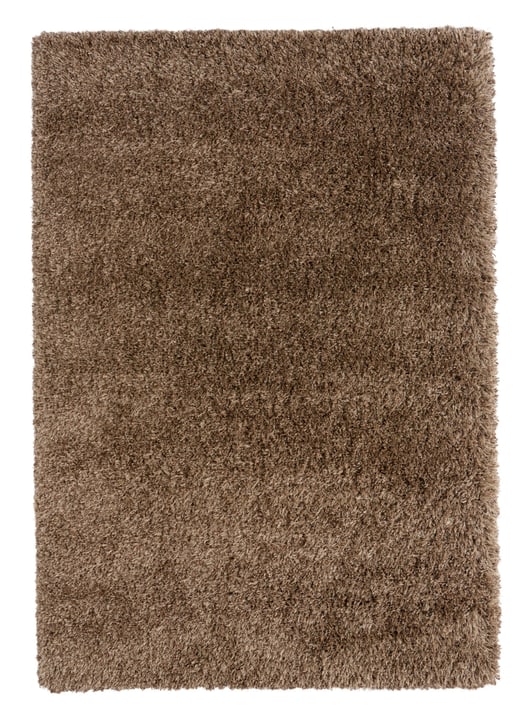 HELEN Tapis HELEN Tapis 411988612070 Couleur brun Dimensions L: 120.0 cm x P: 170.0 cm Photo no. 1