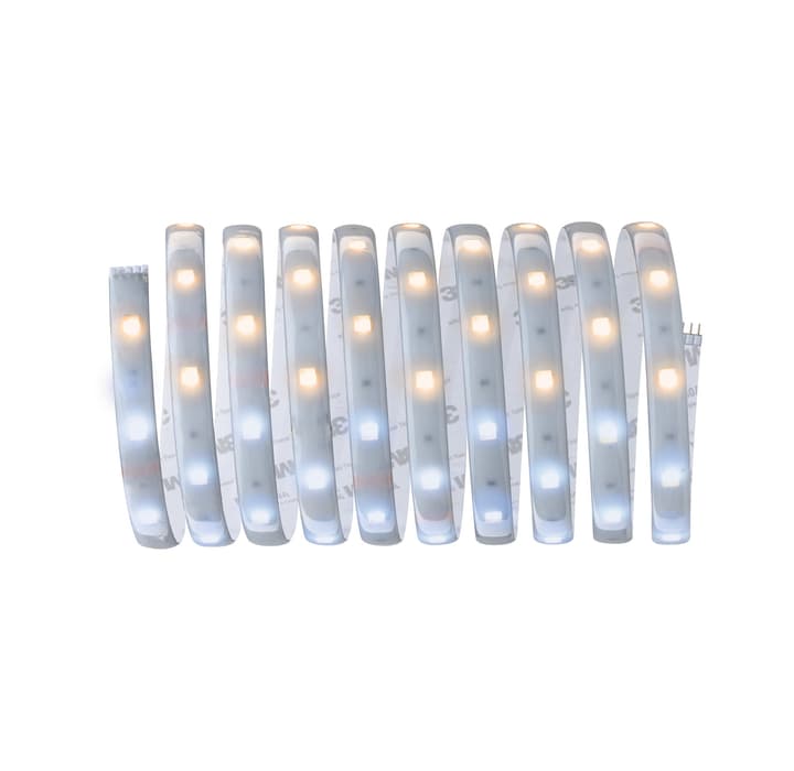 Image of Paulmann MaxLED 250 Basisset 3 m, Tuneable Whit Light-Strip