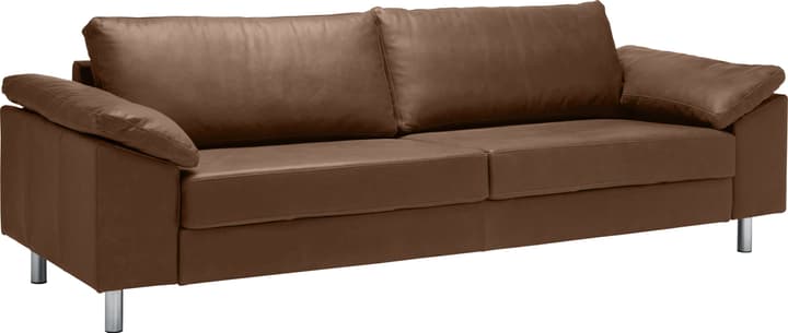 DIENER 3er-Sofa DIENER 3er-Sofa 405738500000 Grösse B: 272.0 cm x T: 92.0 cm x H: 82.0 cm Farbe Braun Bild Nr. 1