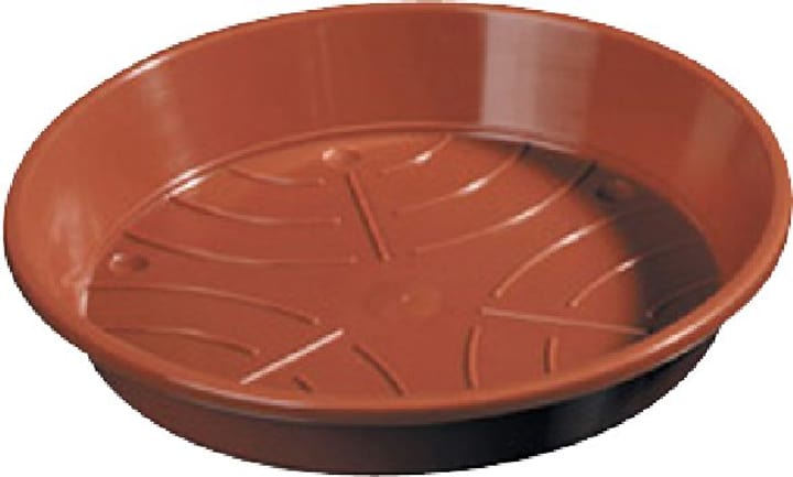 Sottovaso in materia sintetica Sottovaso in materia sintetica 659446100000 Taglio ø: 24.0 cm Colore Marrone N. figura 1