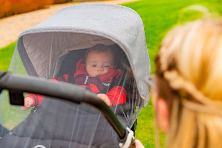 Image of Abus Insektenschutz Maya bei Do it + Garden von Migros