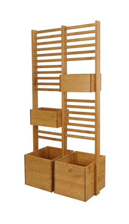 Image of Pflanzenkübel mit Rankhilfe bei Do it + Garden von Migros