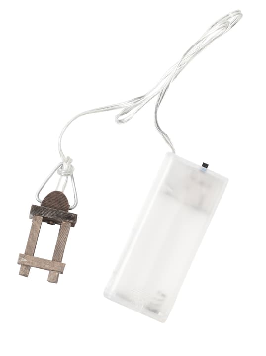 Image of I AM CREATIVE Laterne Mini Gardening bei Do it + Garden von Migros