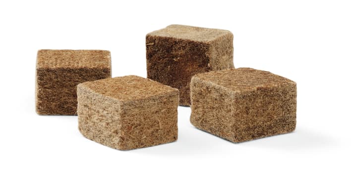 Image of Weber Anzündwürfel ökologisch 48 Stück bei Do it + Garden von Migros