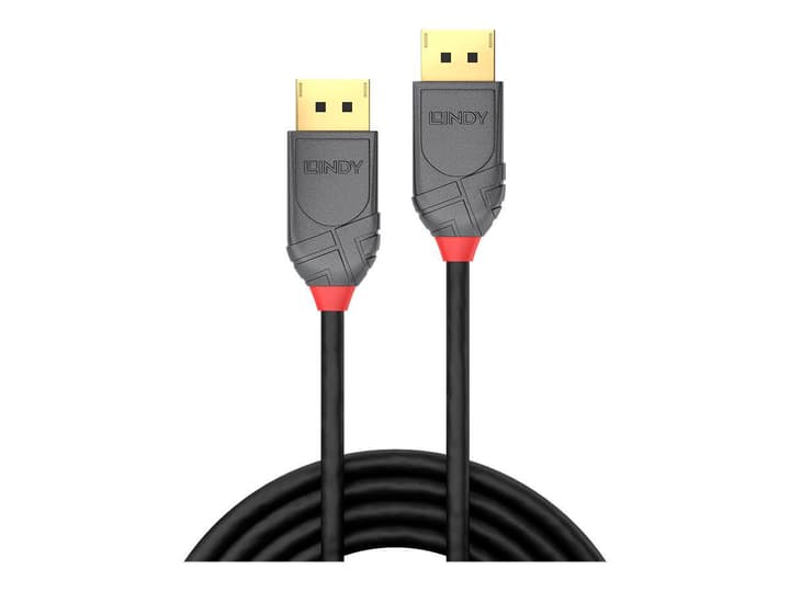 LINDY DisplayPort 1.4 Kabel, Anthra Line 0.5m Kabel DisplayPort 1.4 Kabel, Anthra Line 0.5m Kabel LINDY 785300141547 Bild Nr. 1