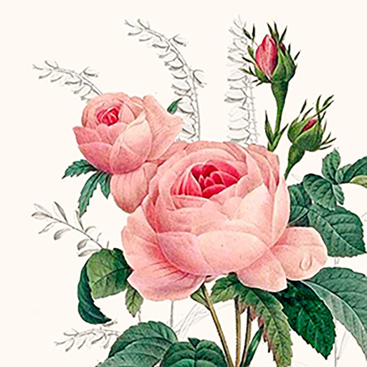 Image of Feldner + Partner Serviette 33cm Wonderful Rose