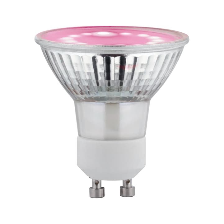 Image of Paulmann Grow Green Pflanzenlampe