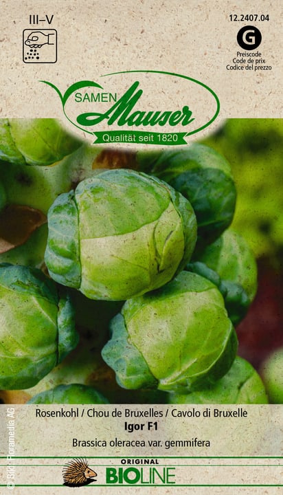 Image of Samen Mauser BIO Rosenkohl Igor F1 Gemüsesamen