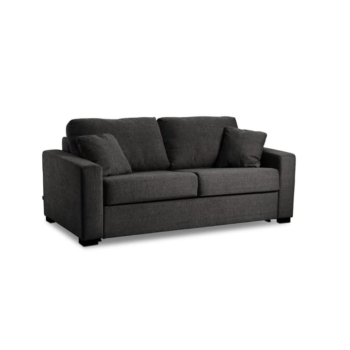 GEORGE Nancy 2er Bettsofa GEORGE Nancy 2er Bettsofa 360208300000 Farbe Anthrazit Bild Nr. 1