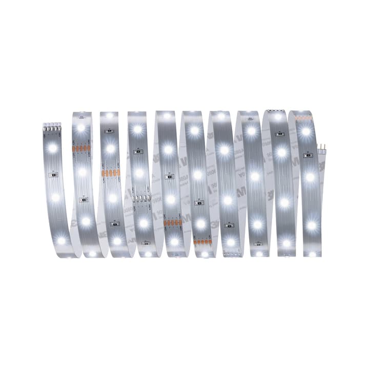 Image of Paulmann MaxLED 250 Basisset 3 m, Tageslicht Light-Strip