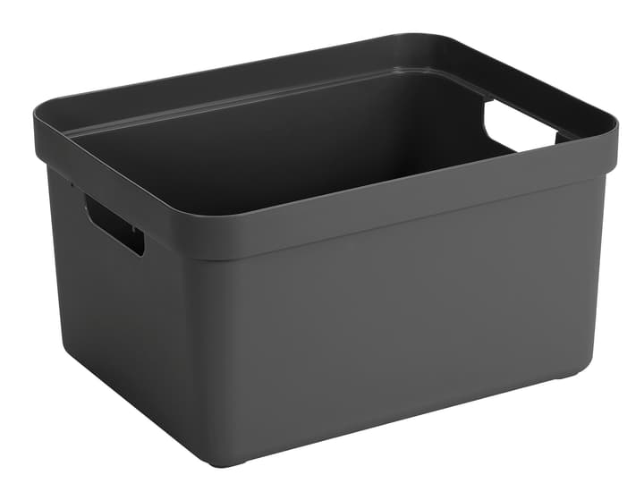 Image of Sigma home Box 32L Aufbewahrungsbox bei Do it + Garden von Migros