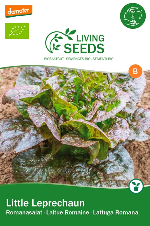 Image of Living Seeds Romana Salat, little Leprechaun Gemüsesamen