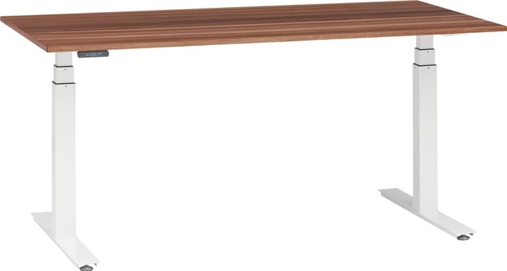 Schreibtisch höhenverstellbar FLEXCUBE PROFI