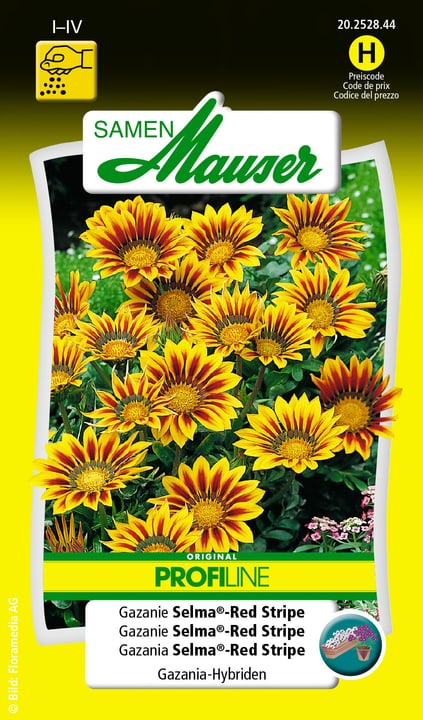 Image of Samen Mauser Gazanie Selma®-Red Stripe Blumensamen