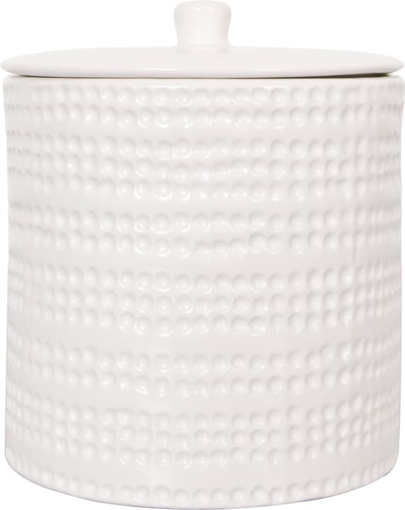 Image of spirella Wattebehälter Venise bei Do it + Garden von Migros