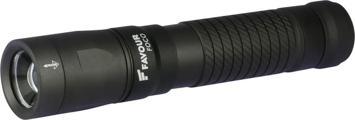 FAVOUR LIGHT T2117 lampe de poche T2117 lampe de poche FAVOUR LIGHT 785300149616 Photo no. 1